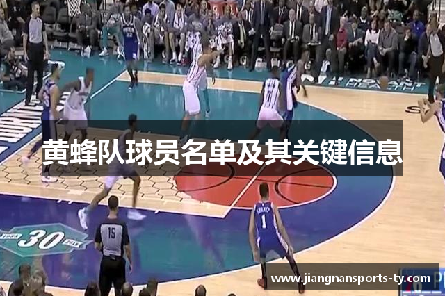 黄蜂队球员名单及其关键信息