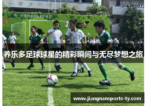养乐多足球球星的精彩瞬间与无尽梦想之旅